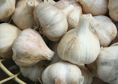 Indian Food To Increase Breast Milk Garlic