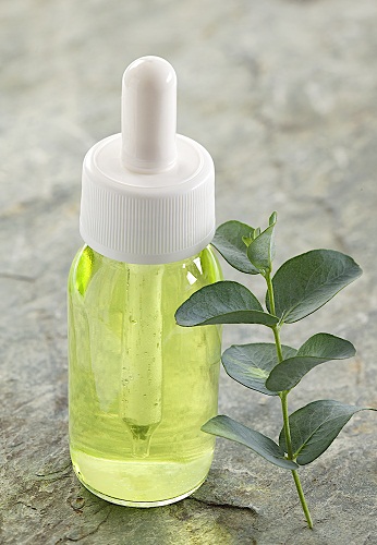 Eucalyptus Oil Pregnancy 2
