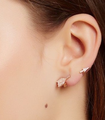 Designer Arrow Earrings Through Ear