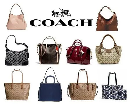 Actualizar 59+ imagen types of coach bags