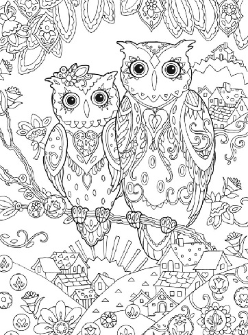 Mr and Mrs Owls