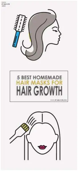5 Best Homemade Hair Masks for Hair Growth| Styles At Life