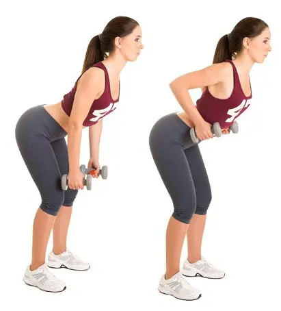 Back Fat Workout Dumbbell Rows
