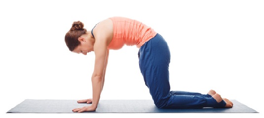 Yoga To Reduce Back Fat Marjaryasana 