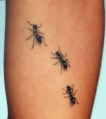 Details more than 74 cute ant tattoos best - in.cdgdbentre