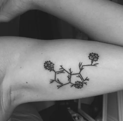 Chemical Forums Is this the Correct Structural Formula for tattoo