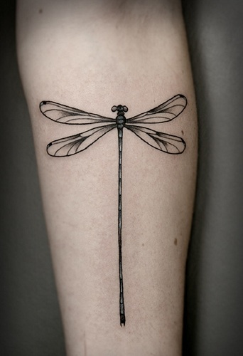The Most Popular Insect Tattoo Ideas and Their Meanings  TIME BUSINESS NEWS