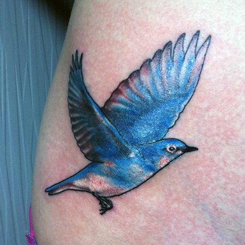 Feel Bird Blue Tattoo