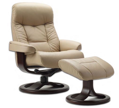 Reading Recliner Chair