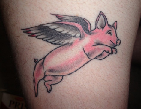 Action in a fly Pig Tattoo