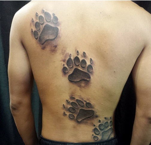 Bear paw print tattoo Designs