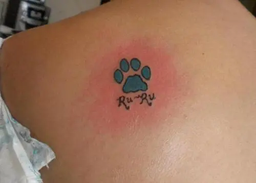 Forearm tattoo with my kitties paw prints   Dog paw tattoo Paw  tattoo Pawprint tattoo