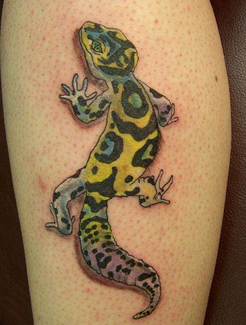 Gecko Lizard Tattoos