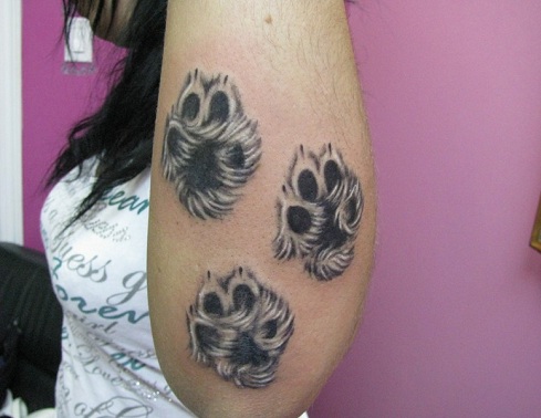 Husky Paw Print Tattoo Designs