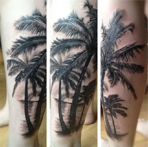 My New Tattoo Traditional palmtree tattoo Love it Tony Nilsson Blue  Arms Tattoo  Tree tattoo designs Palm tattoos Tree tattoo men