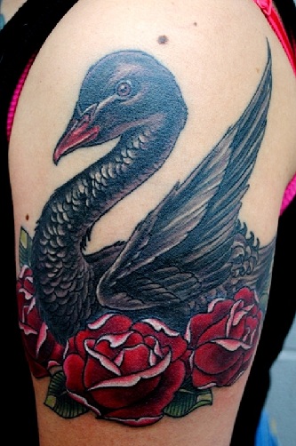 Black Swan with Red Roses Tattoo Design