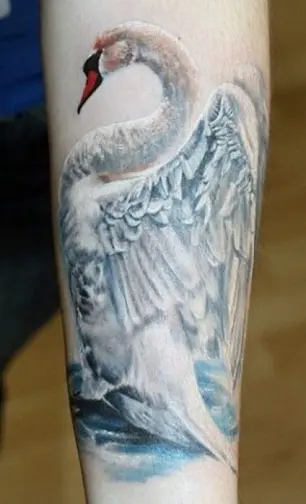 irish celtic swan tattoo  another original creation by dub  Flickr