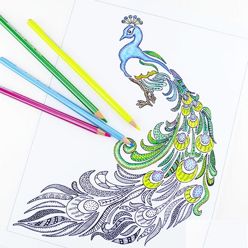 Peculiar Peacock Coloring Sheet