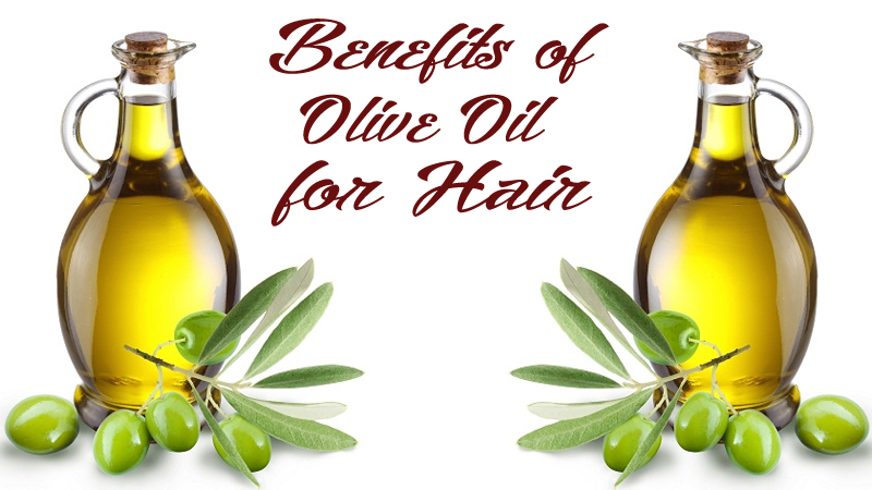 Benefits Of Olive Oil For Hair And How To use It? | Styles At Life