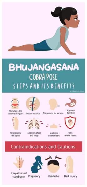 Cobra Pose Flow Yoga Bhujangasana Vinyasa  Yoga Sequences Benefits  Variations and Sanskrit Pronunciation  Tummeecom