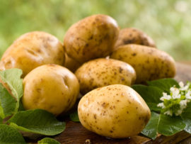 How to Reduce Dark Circles With the Help of Potatoes!