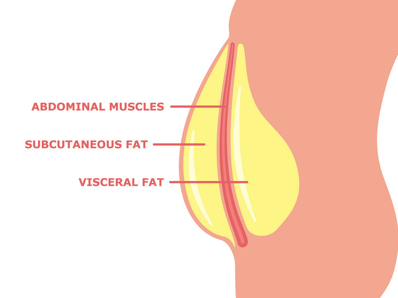 Exercises To Get Rid Of Visceral Belly Fat