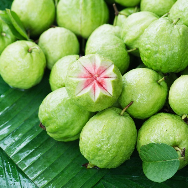 health benefits of guava fruit