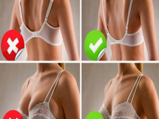 What is Half Cup Bra And Its Wearing Tips