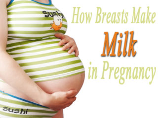 Miracle of Breast Milk: How Your Breast Makes Milk In Pregnancy