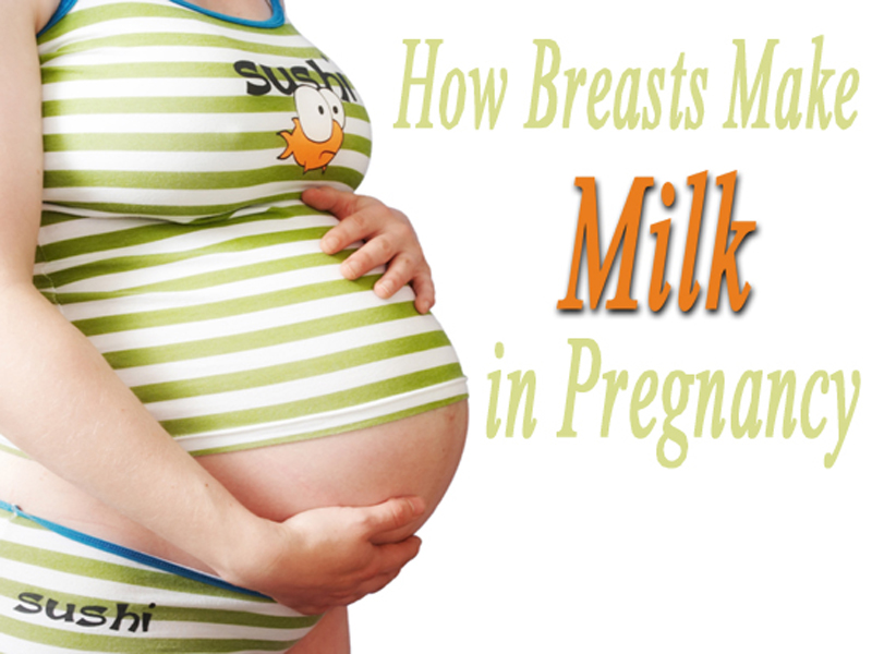 Pregnancy Breast Milk