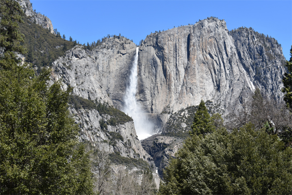 Reconnect With Nature At Yosemite Nature Park