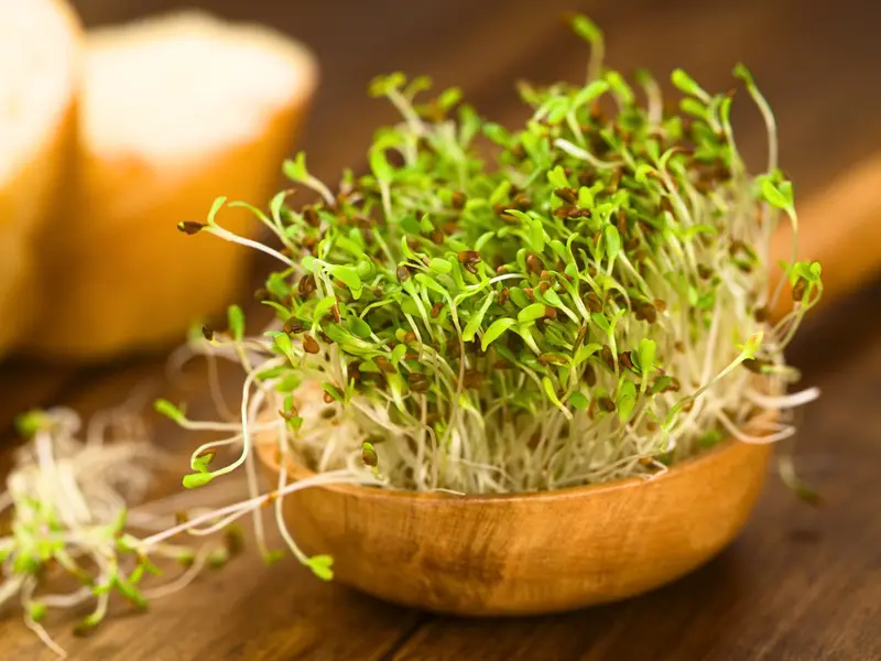 16 Best Health Benefits and Side Effects of Sprouts | Styles At Life