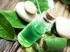 5 Best Ways To Use Tea Tree Oil For Dandruff!