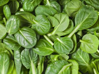12 Amazing Benefits Of Spinach For Skin, Hair & Health