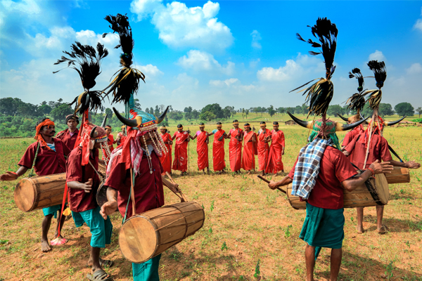 Tribal people are dancing in Madai festival