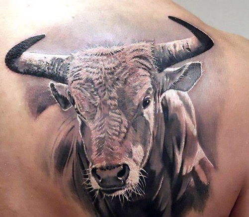 3D Bull Tattoo Designs