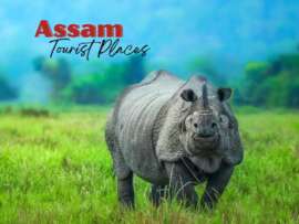 8 Best Assam Tourist Places to Visit