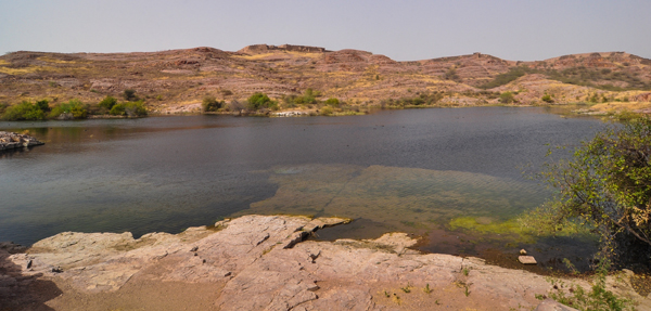 Balsamand Lake Is A Popular Picnic Spot