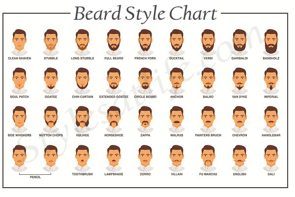 Beard Style Chart