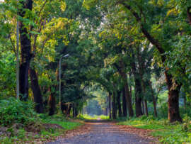 10 Famous Parks in Kolkata with Pictures