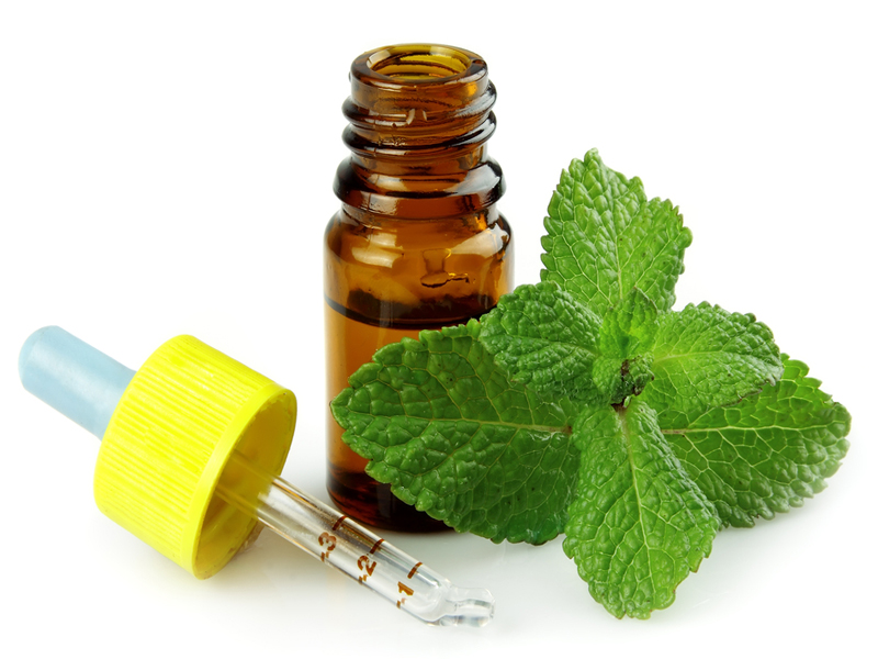 Benefits Of Peppermint Oil During Pregnancy