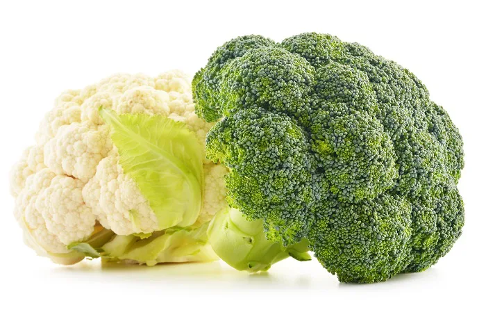Broccoli Seed Oil Benefits for the Skin and Hair  Dr Axe