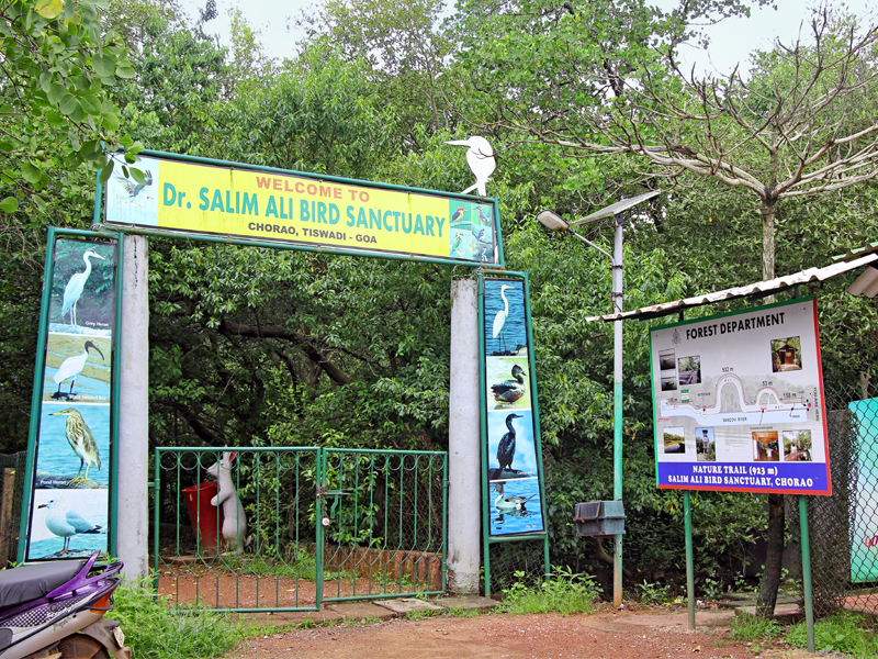 Famous Parks In Goa