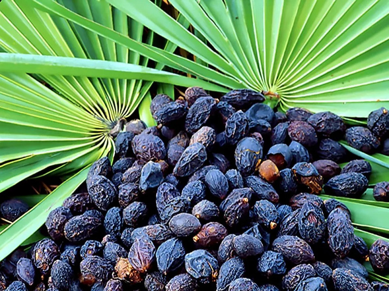 How To Use Saw Palmetto For Hair Loss