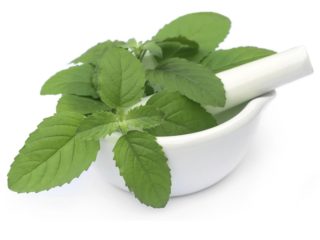 How To Use Mint Leaves Face Pack For Oily And Pimples Skin?