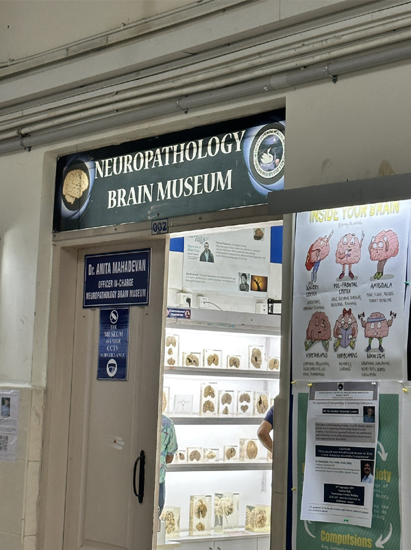 Nimhans Brain Museum
