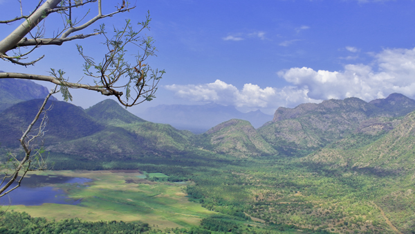 Palni Hills View From Kodaikanal