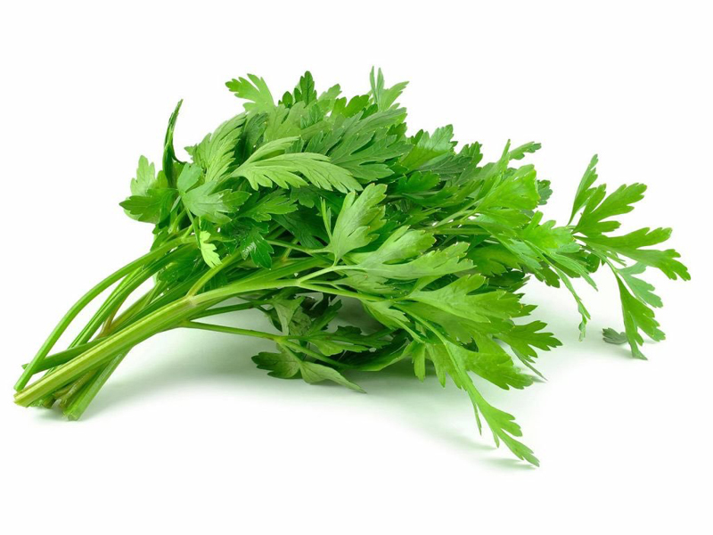 parsley during pregnancy