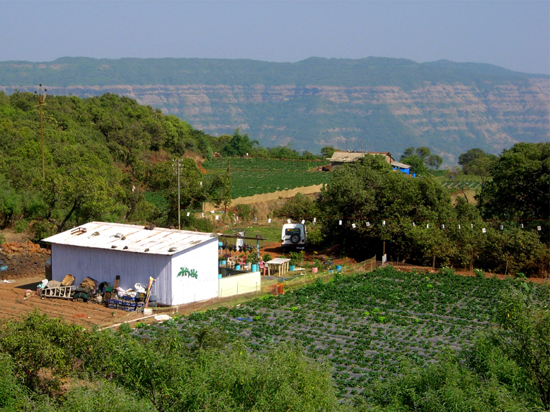 Tourist Places To Visit In Mahabaleshwar