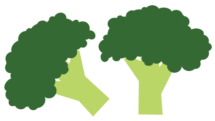 Benefits Of Broccoli